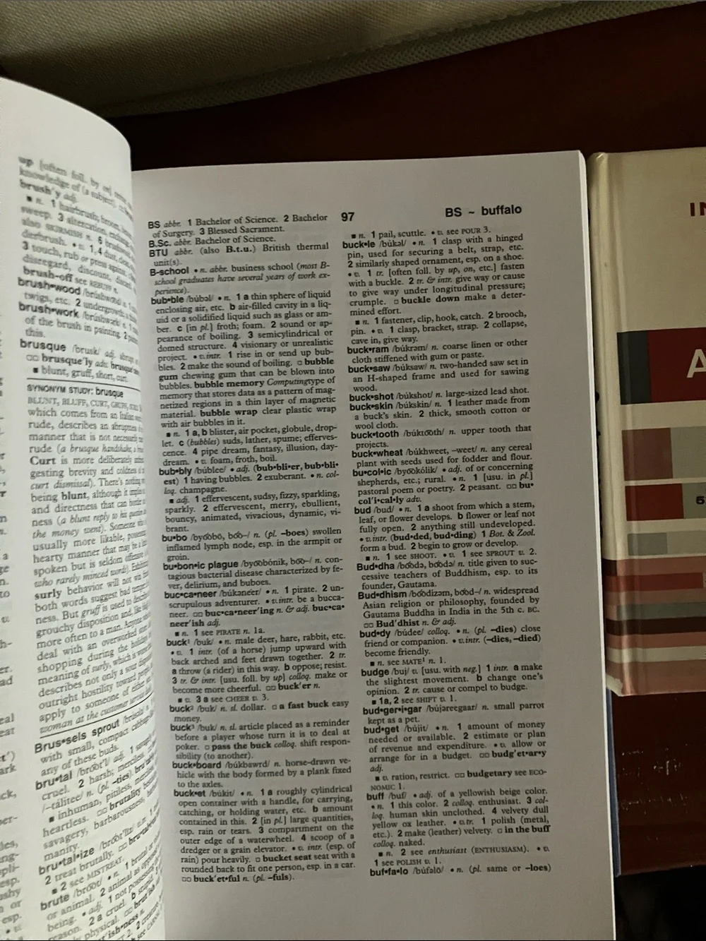 Junk Journal Paper Book Bundle Vintage Dictionary & Word Ephemera Lot